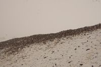 
DSC00081